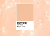 Peach Fuzz - farba Pantone pre rok 2024