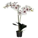 Umelá prémiová orchidea 18 kvetov 80 cm