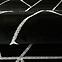 Koberec Frisee Diamond 1,6/2,3 B0052 čierna/strieborný,8