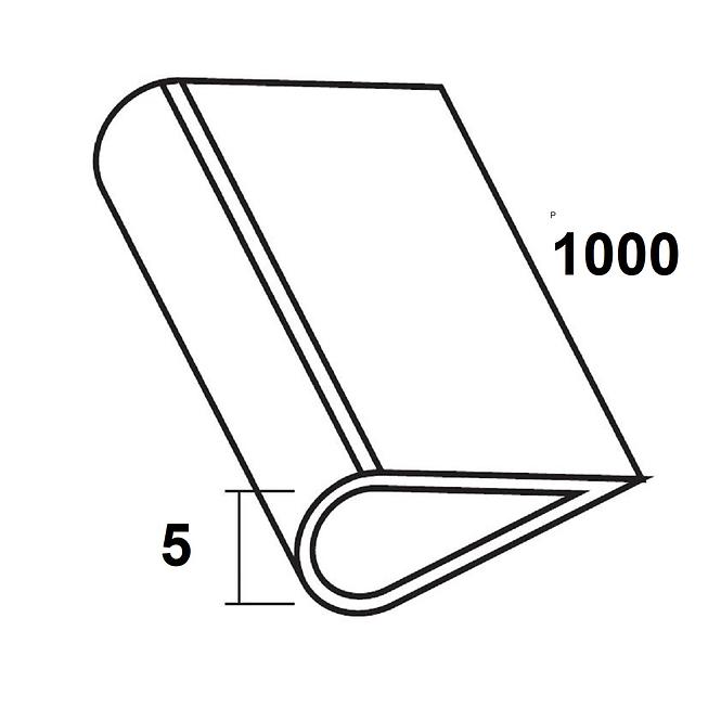 Ochranný profil PVC biely lesk 5x1000