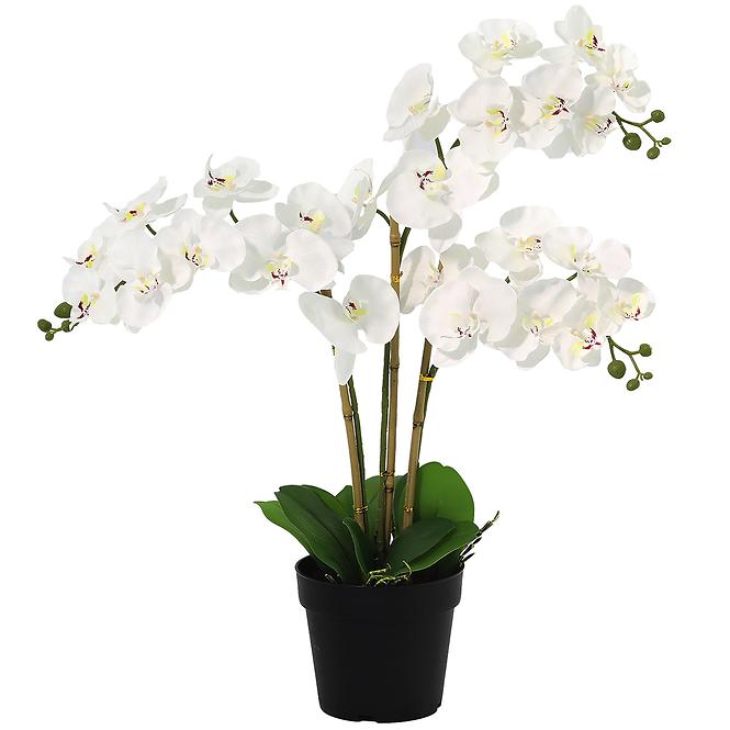 Umelá orchidea 3-puková Planta Artf v kvetináči 90 cm
