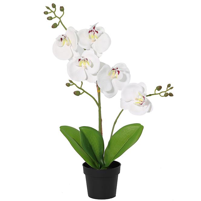 Umelá biela orchidea v kvetináči 40 cm