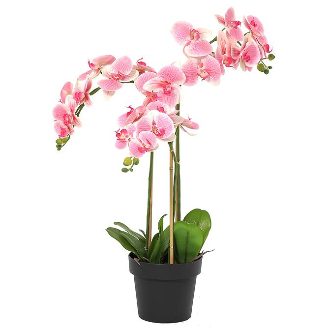 Umelá orchidea v kvetináči 80 cm