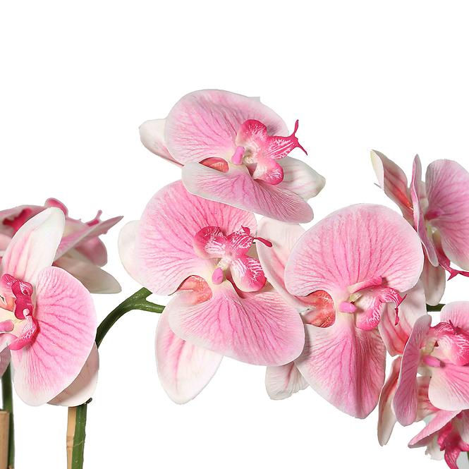 Umelá orchidea v kvetináči 80 cm