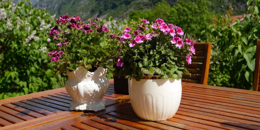 Elegantné kvetináče na terasu - aké modely si vybrať?