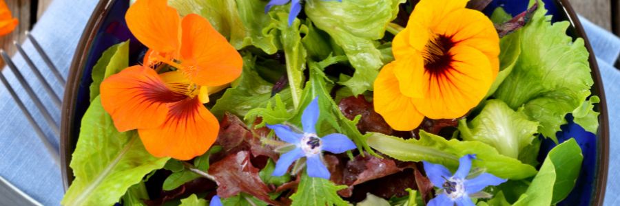Jedlé kvety, ktoré si môžete vypestovať vo svojej záhrade 