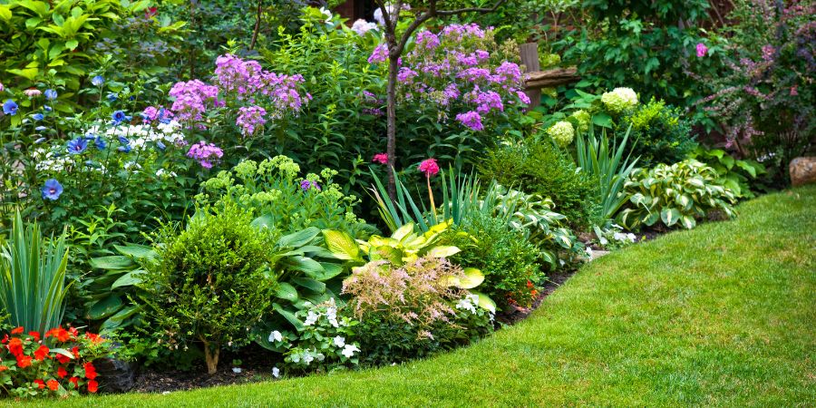 Aké sú vlastnosti trvalkovej záhrady?