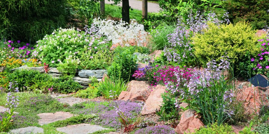 Aké trvalky a viacročné kvety by ste si mali vybrať do záhrady? Odporúčané viacročné rastliny a druhy trvalých kvetov do záhrady
