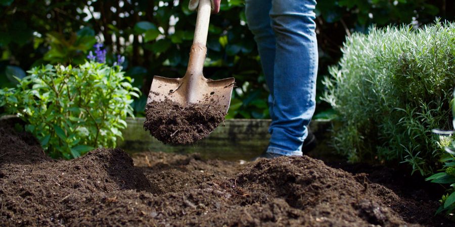 Príprava pôdy – krok za krokom zhodnotenie stavu pôdy, prípadne kde začať s jarnými prácami. Aká pôda pre zeleninu a kvety?